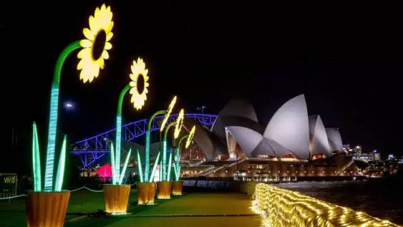 悉尼向日葵路灯（装有太阳能，可在晚上发亮）.jpg